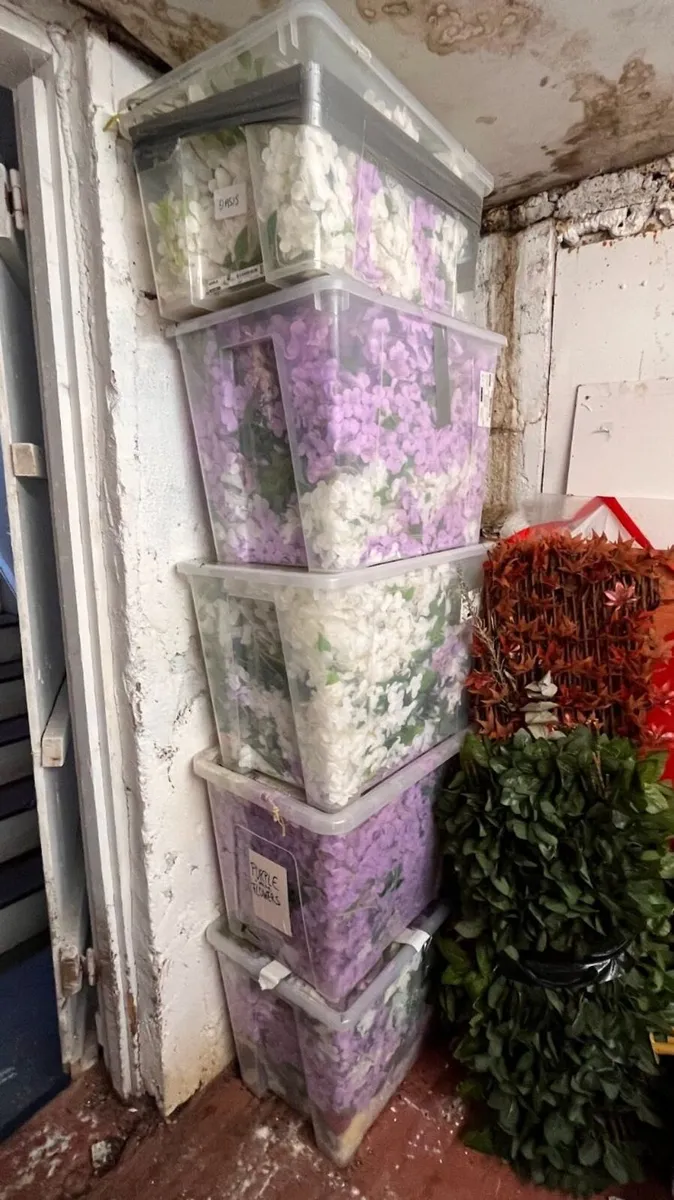Wisteria & Foliage Backdrops Lot - Image 2