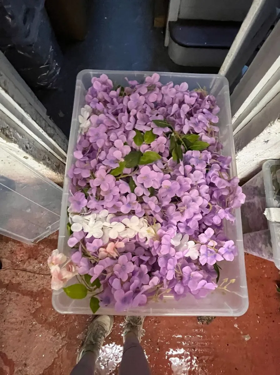 Wisteria & Foliage Backdrops Lot - Image 1