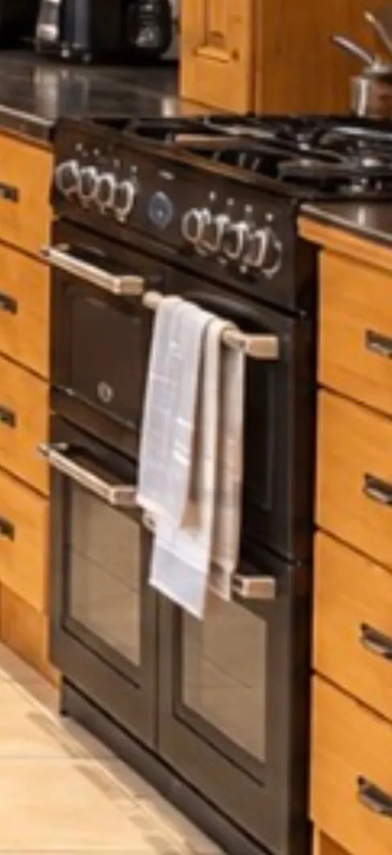 Electric oven