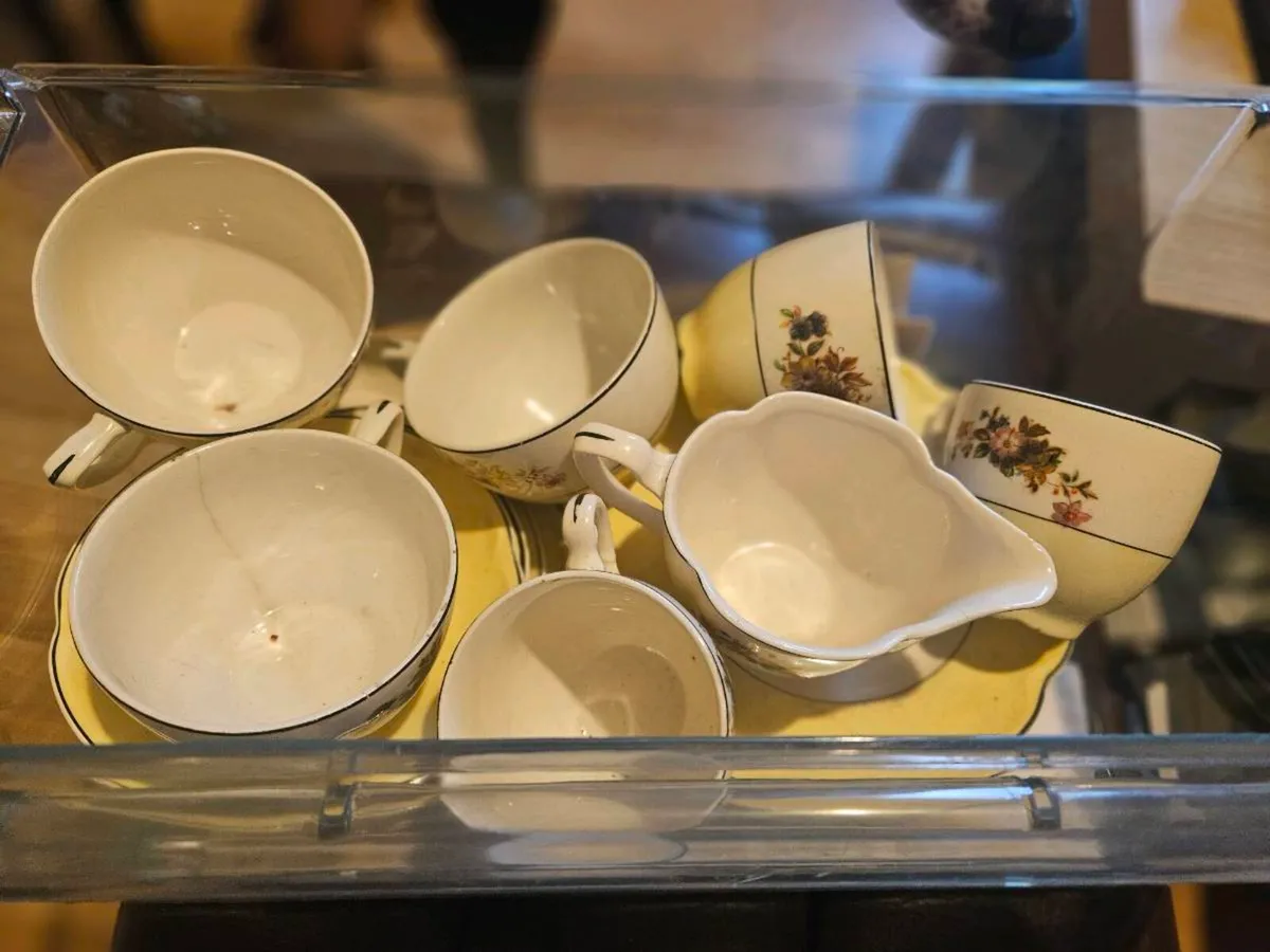 Basket of Pareek Johnsons Bros China - Image 3