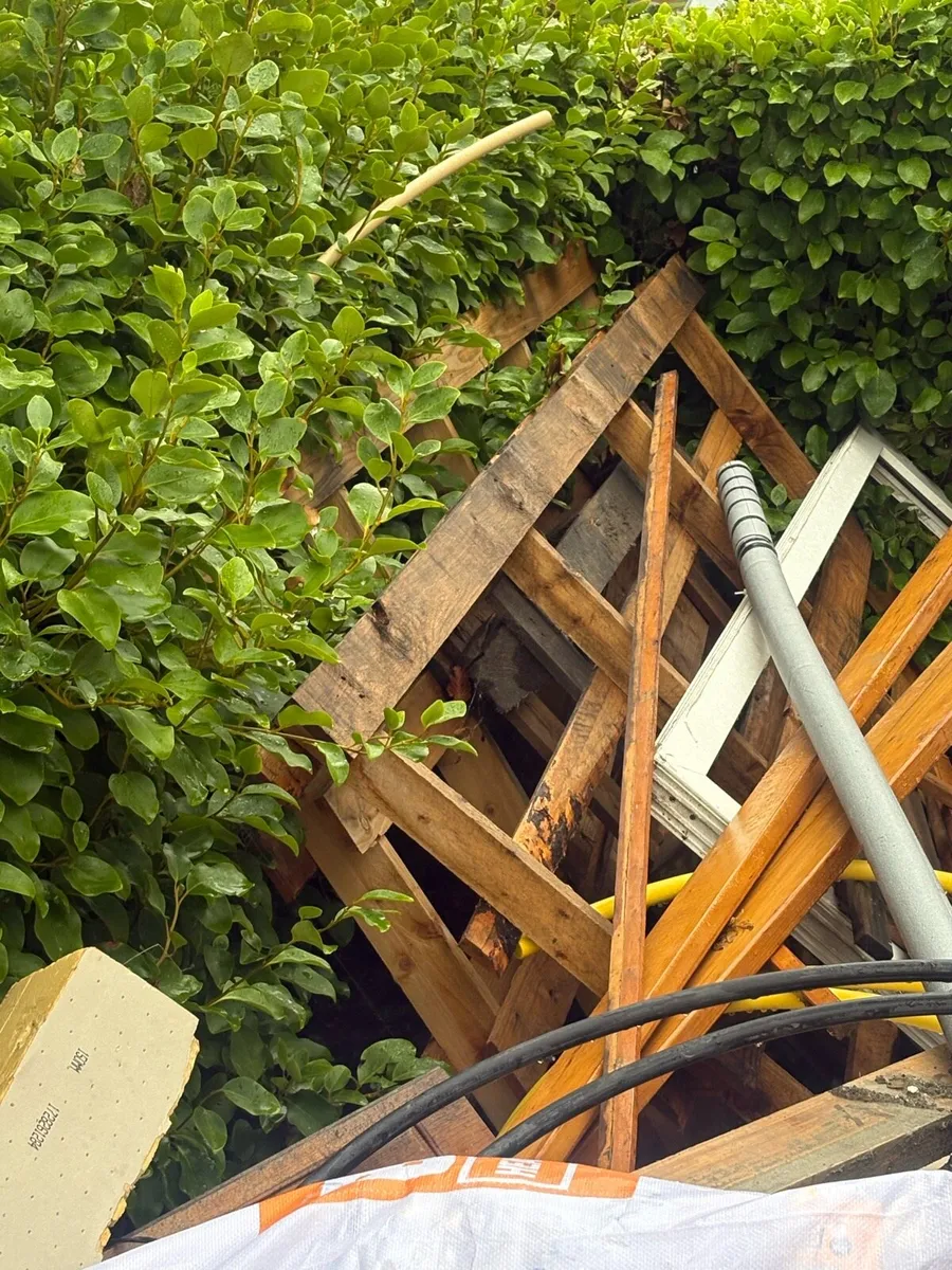 Free wood