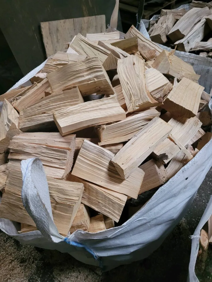 Firewood timber - Image 1