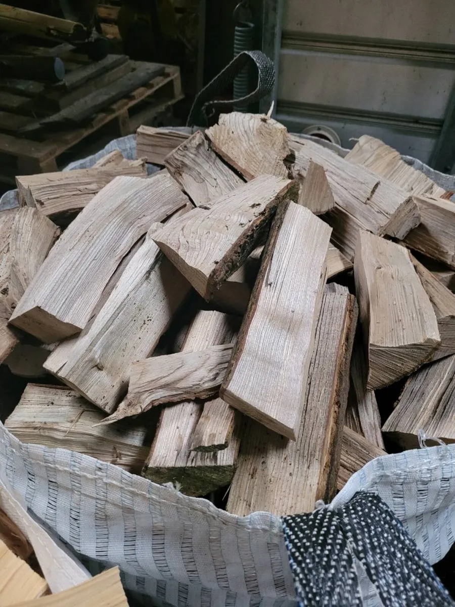 Firewood timber - Image 2
