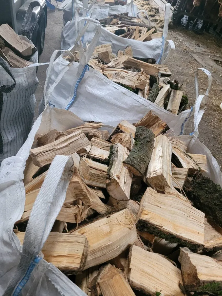 Firewood timber - Image 3