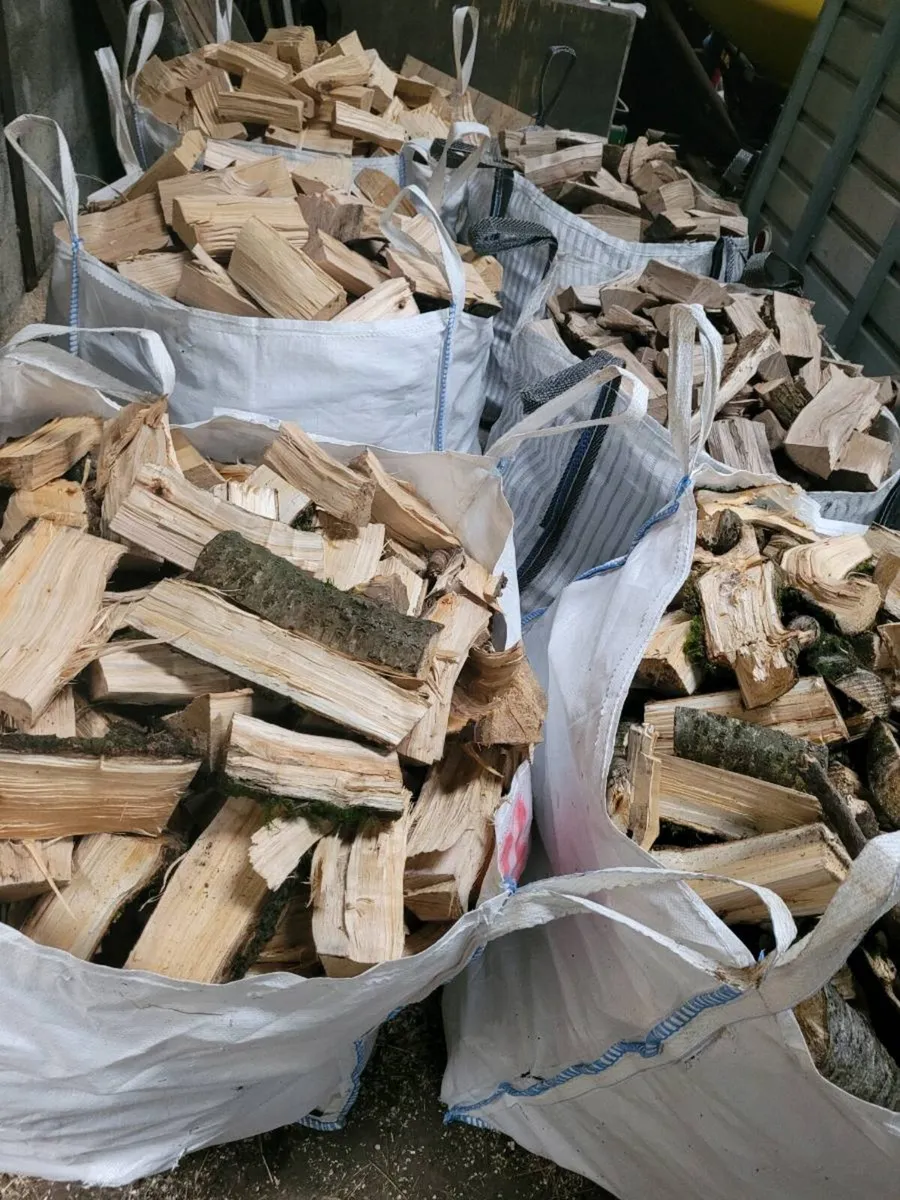 Firewood timber - Image 4