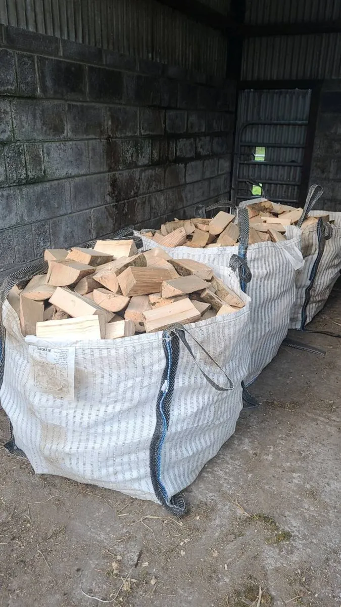 Firewood timber - Image 1
