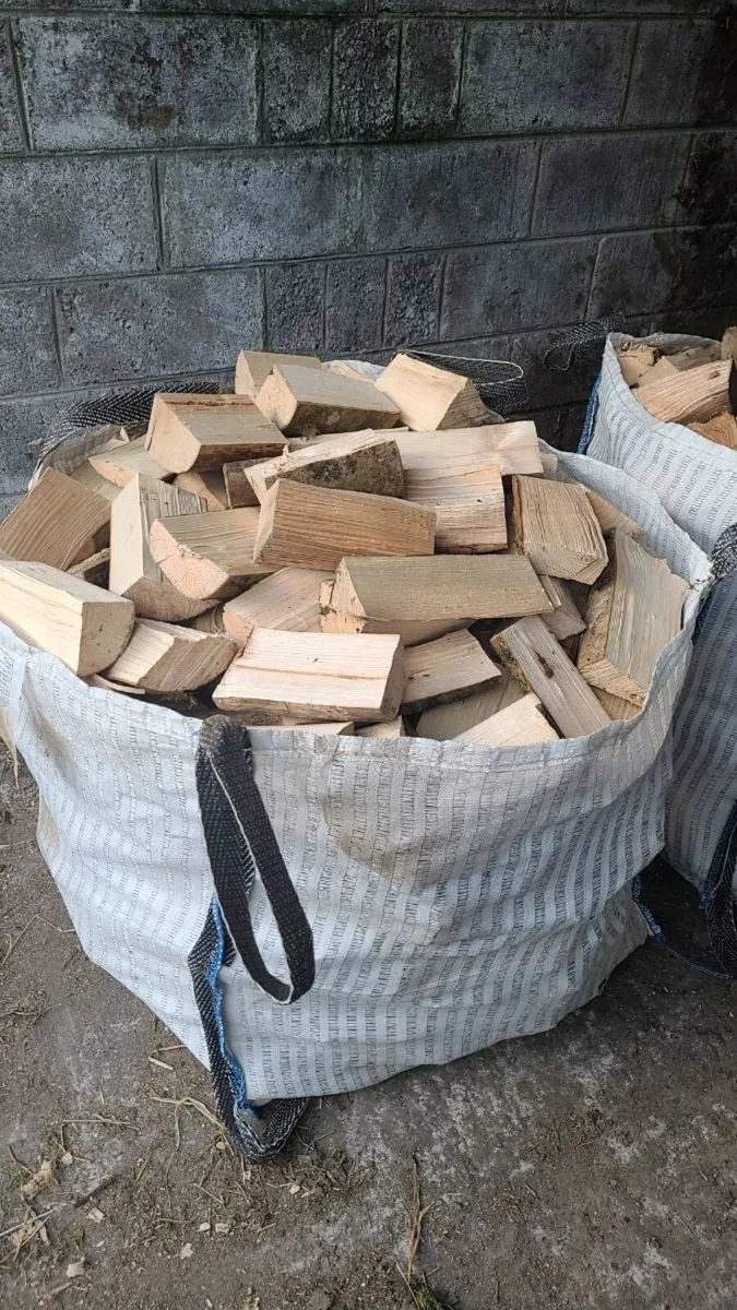 Firewood timber - Image 2