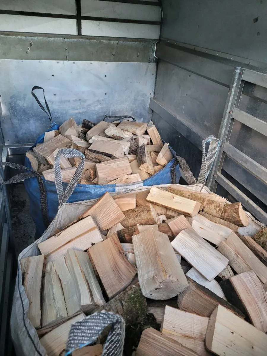 Firewood timber - Image 3