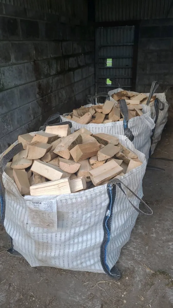 Firewood timber - Image 4