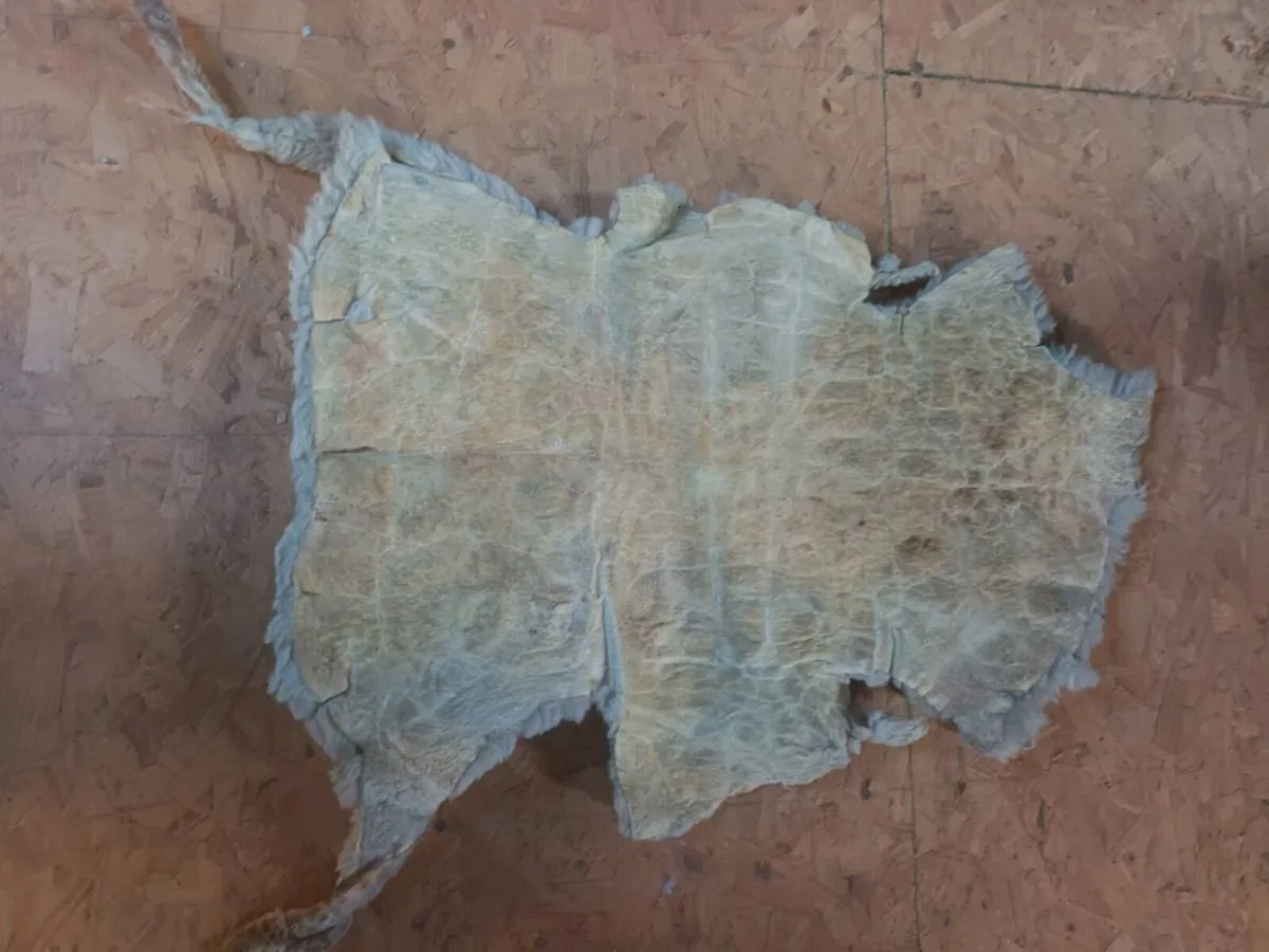 Sheep Skin Floor Cover - Image 1