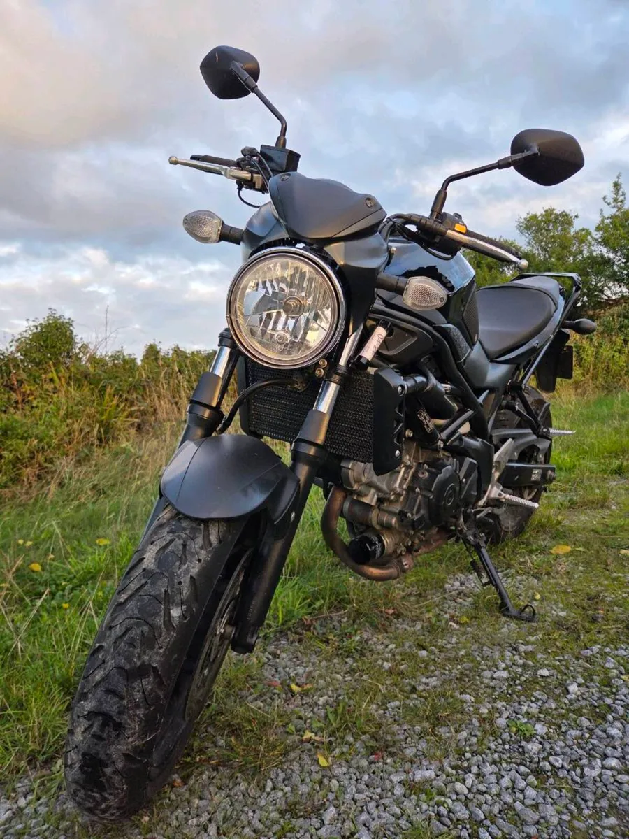 SV650 - Image 4