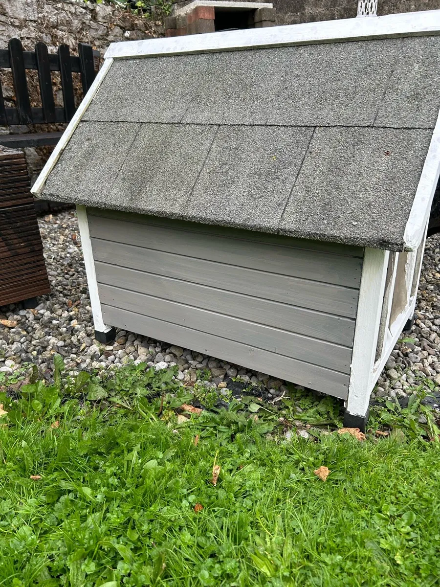 Dog House - Image 4