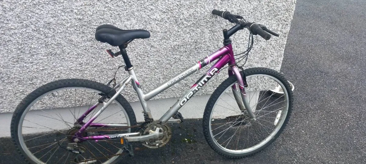 Adult  bike - Image 1