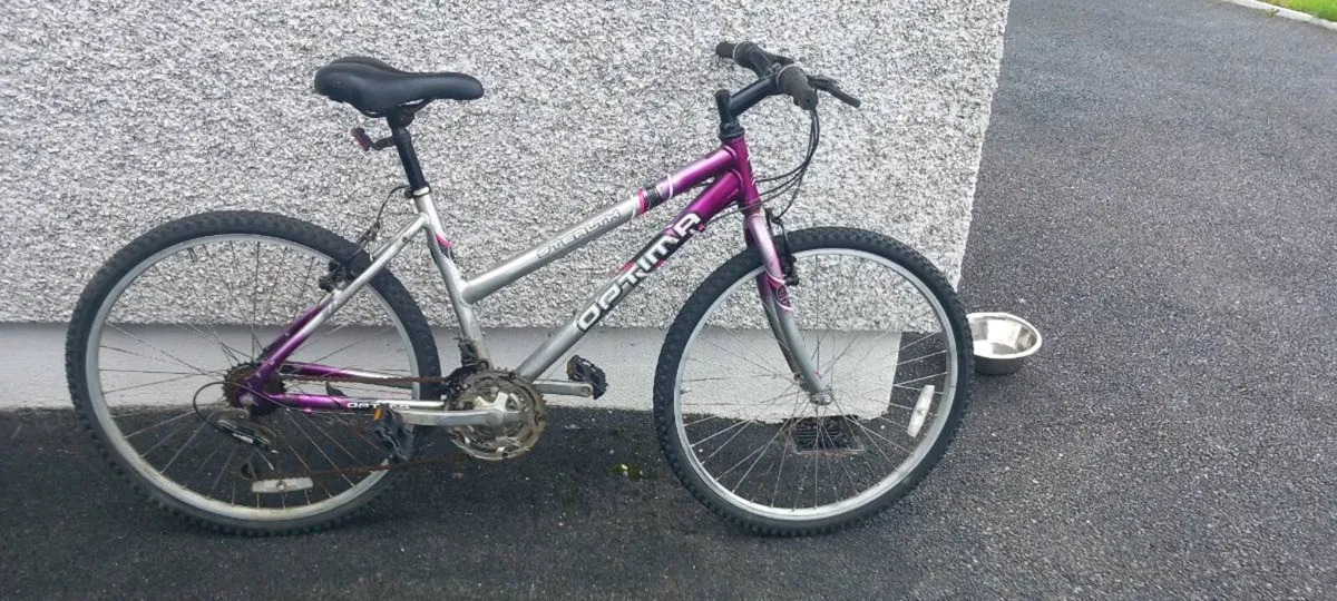 Adult  bike - Image 2