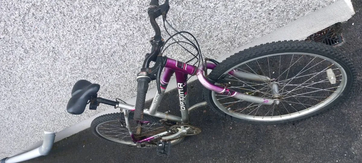 Adult  bike - Image 3