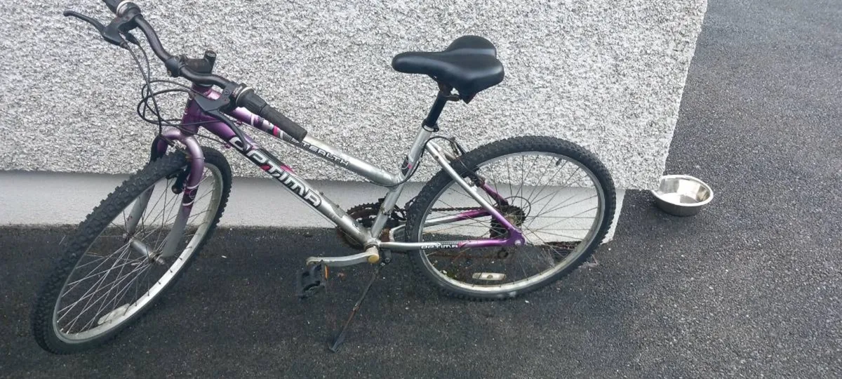 Adult  bike - Image 4