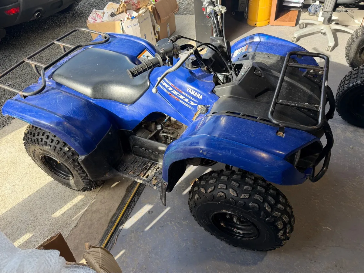 Quad - Image 2