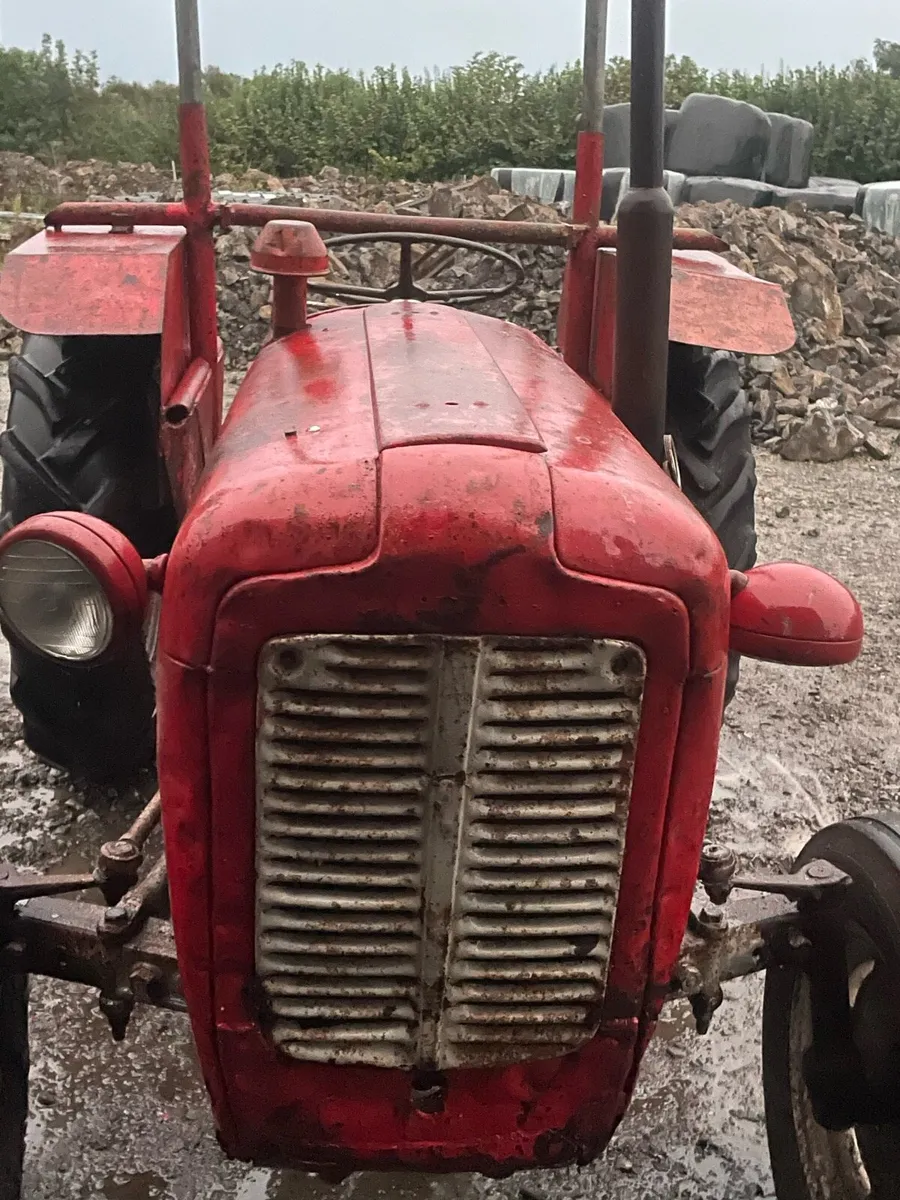 Massey Ferguson 35 - Image 2