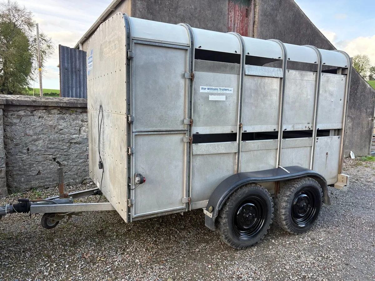 Ifor William 10ft cattle trailer - Image 1