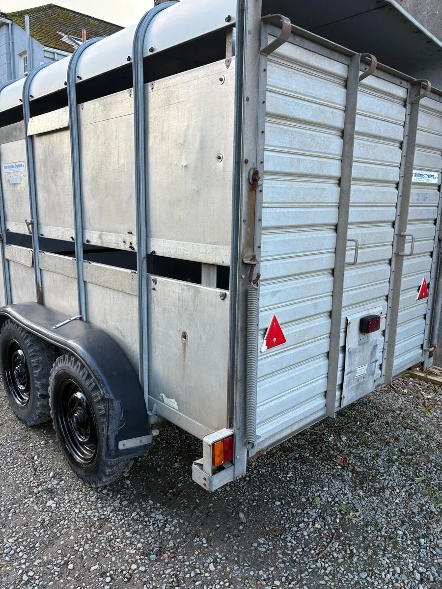 Ifor William 10ft cattle trailer - Image 2