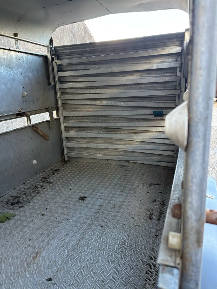 Ifor William 10ft cattle trailer - Image 3
