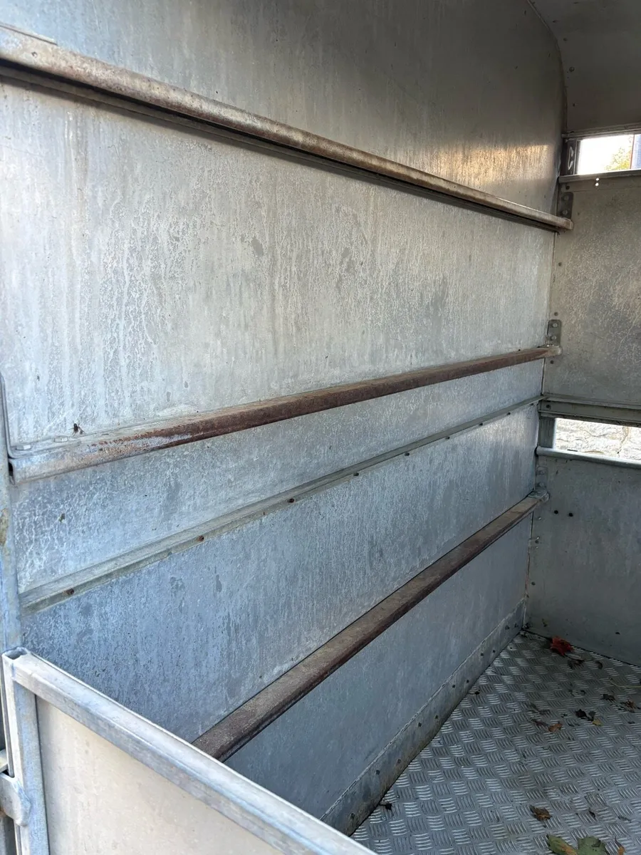 Ifor William 10ft cattle trailer - Image 4