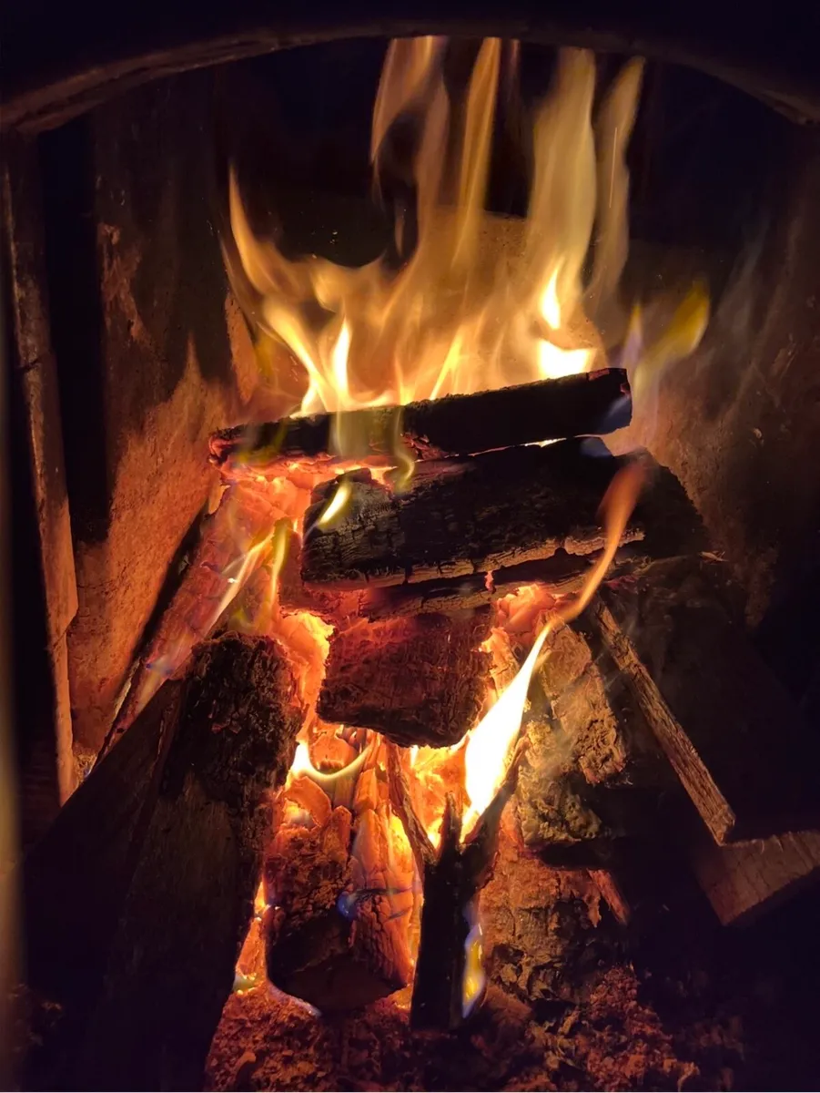 Hardwood firewood - Image 2