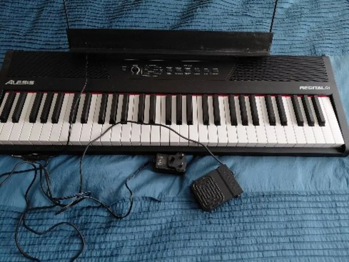Great starter keyboard for learning and practice - Image 1