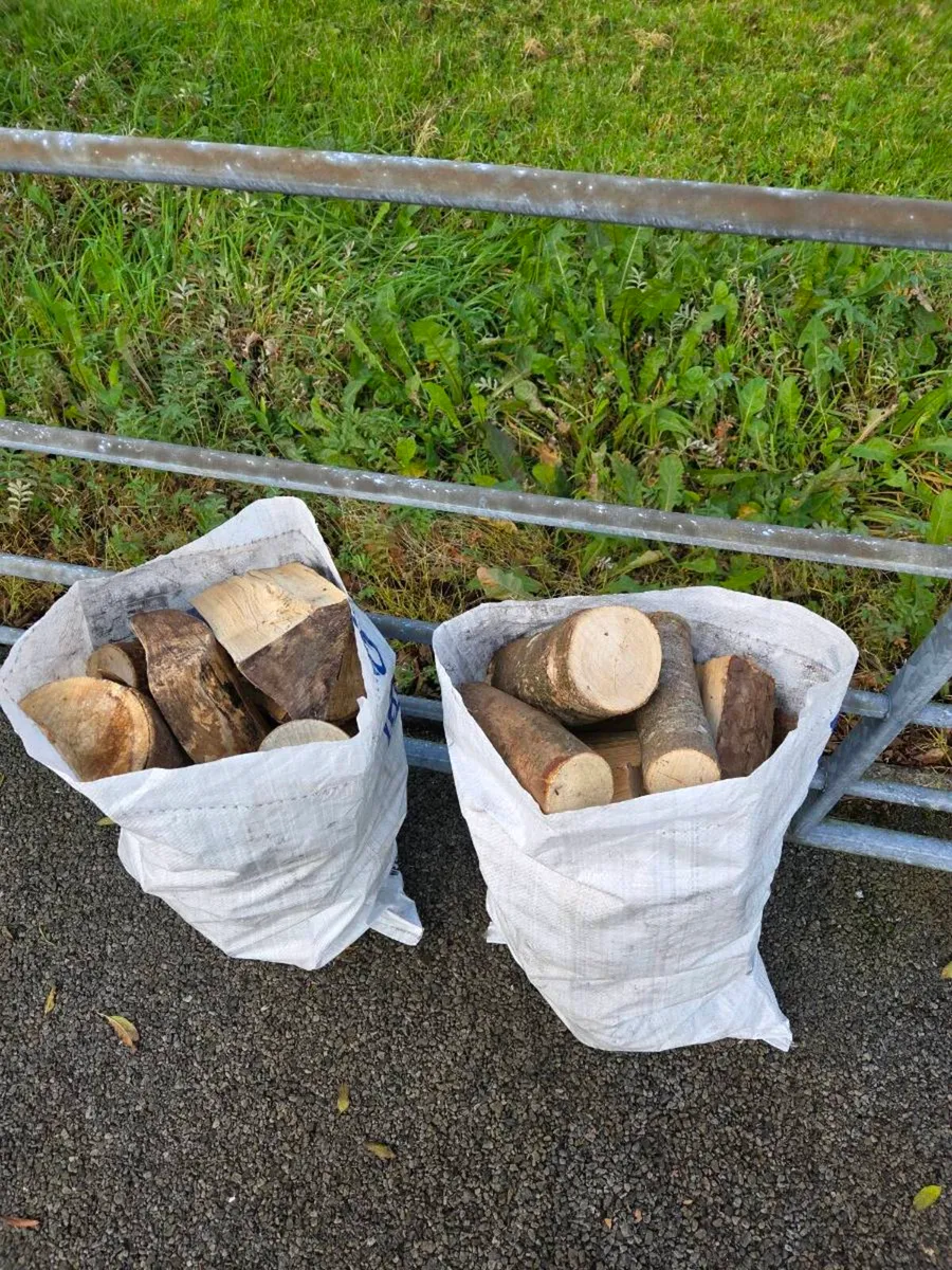 Bags of Firewood - Image 2