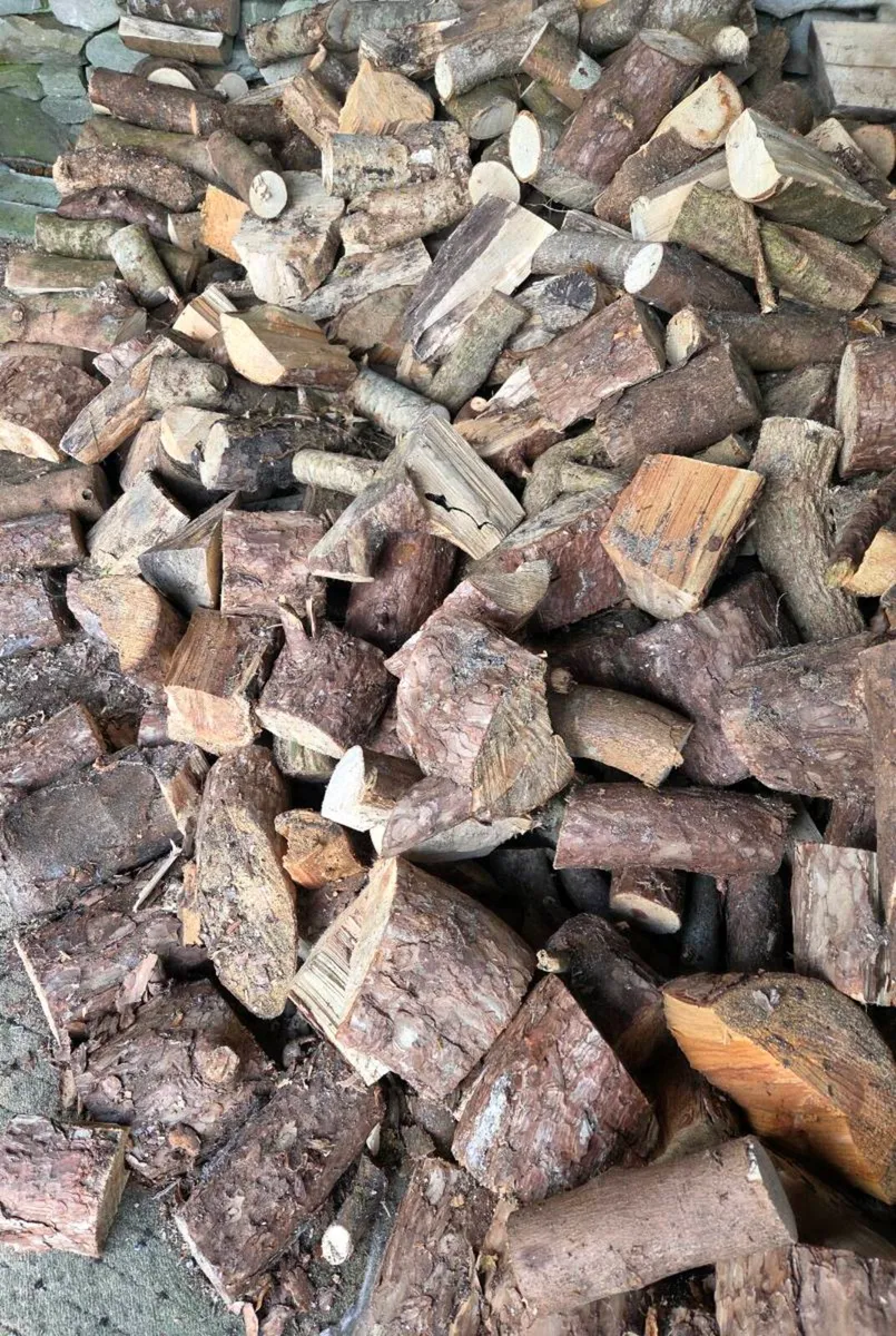 Bags of Firewood - Image 4