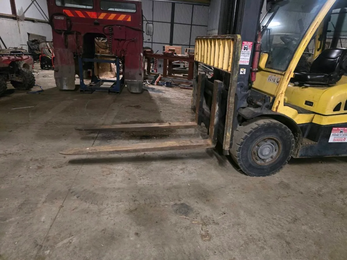 Hyster forklift H5.5FT - Image 2