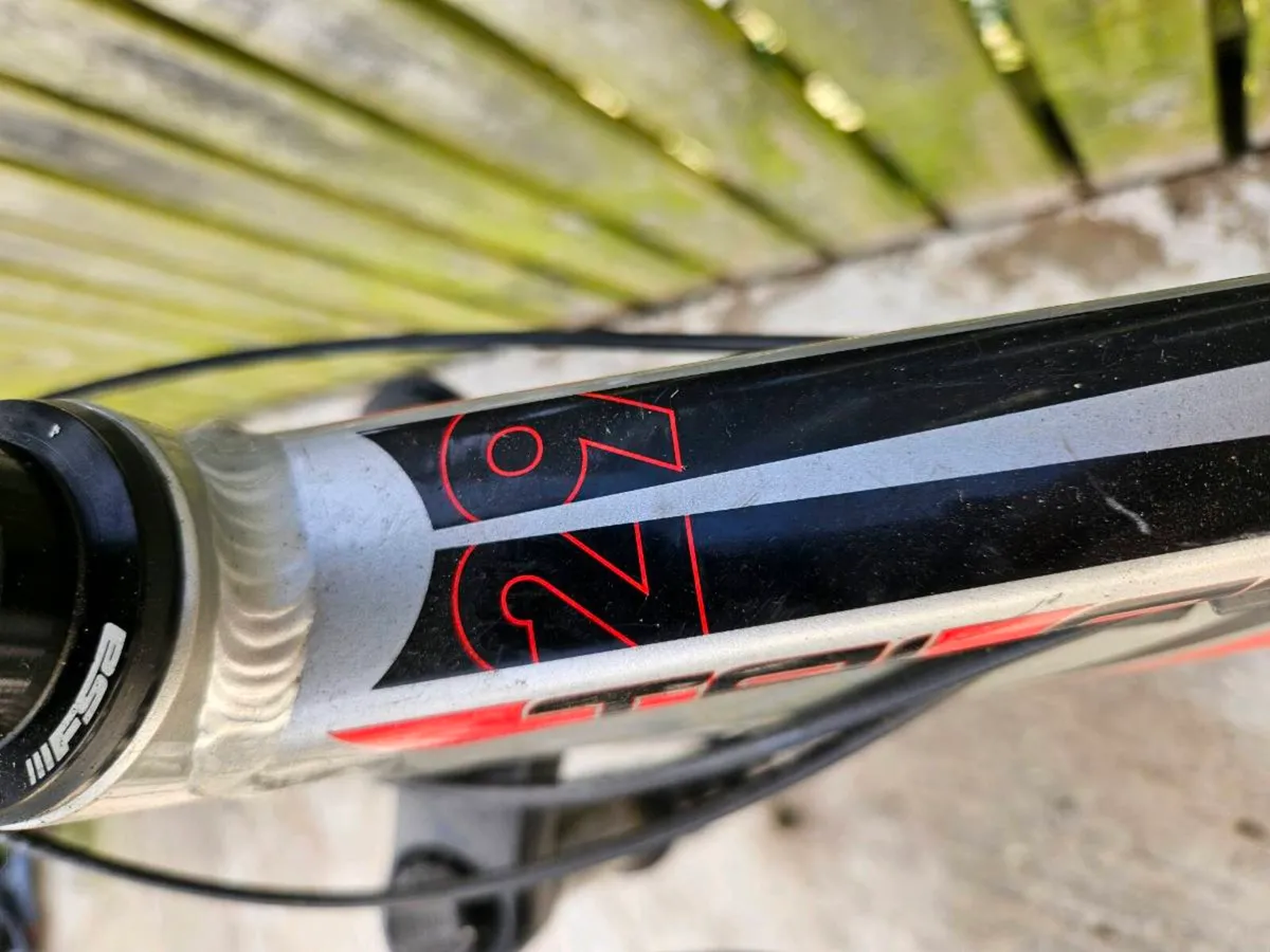 Giant bike - Image 1