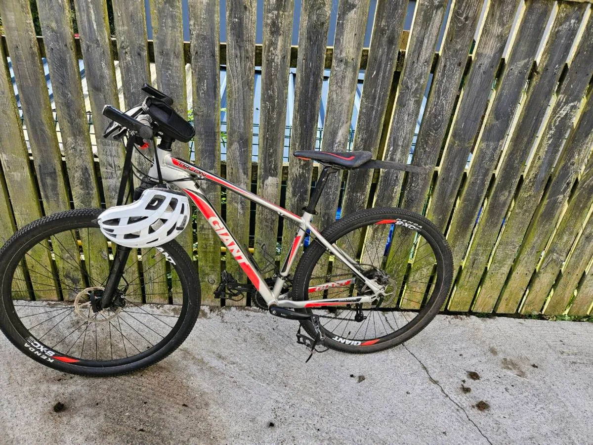 Giant bike - Image 2