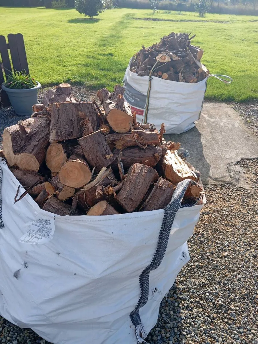Timber - Image 1