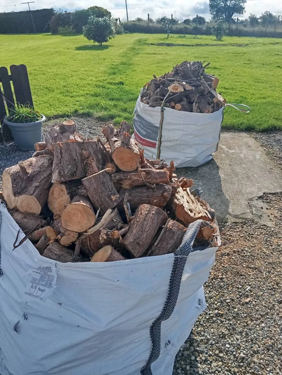 Timber - Image 2