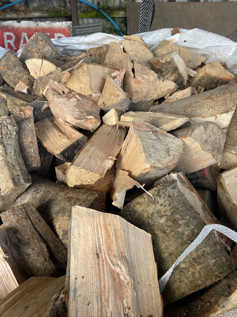 Firewood / jumbo bags of hardwood - Image 2
