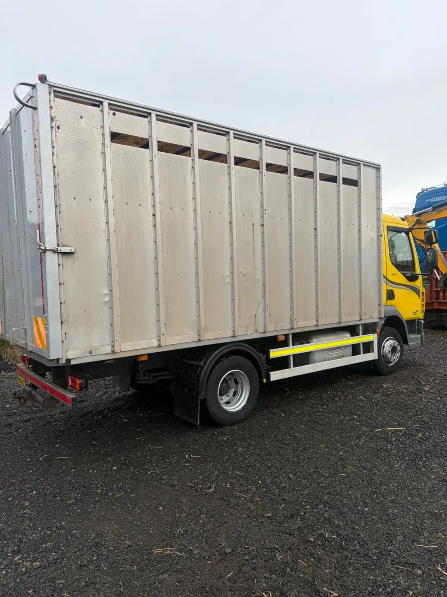 Daf cattle lorry - Image 4