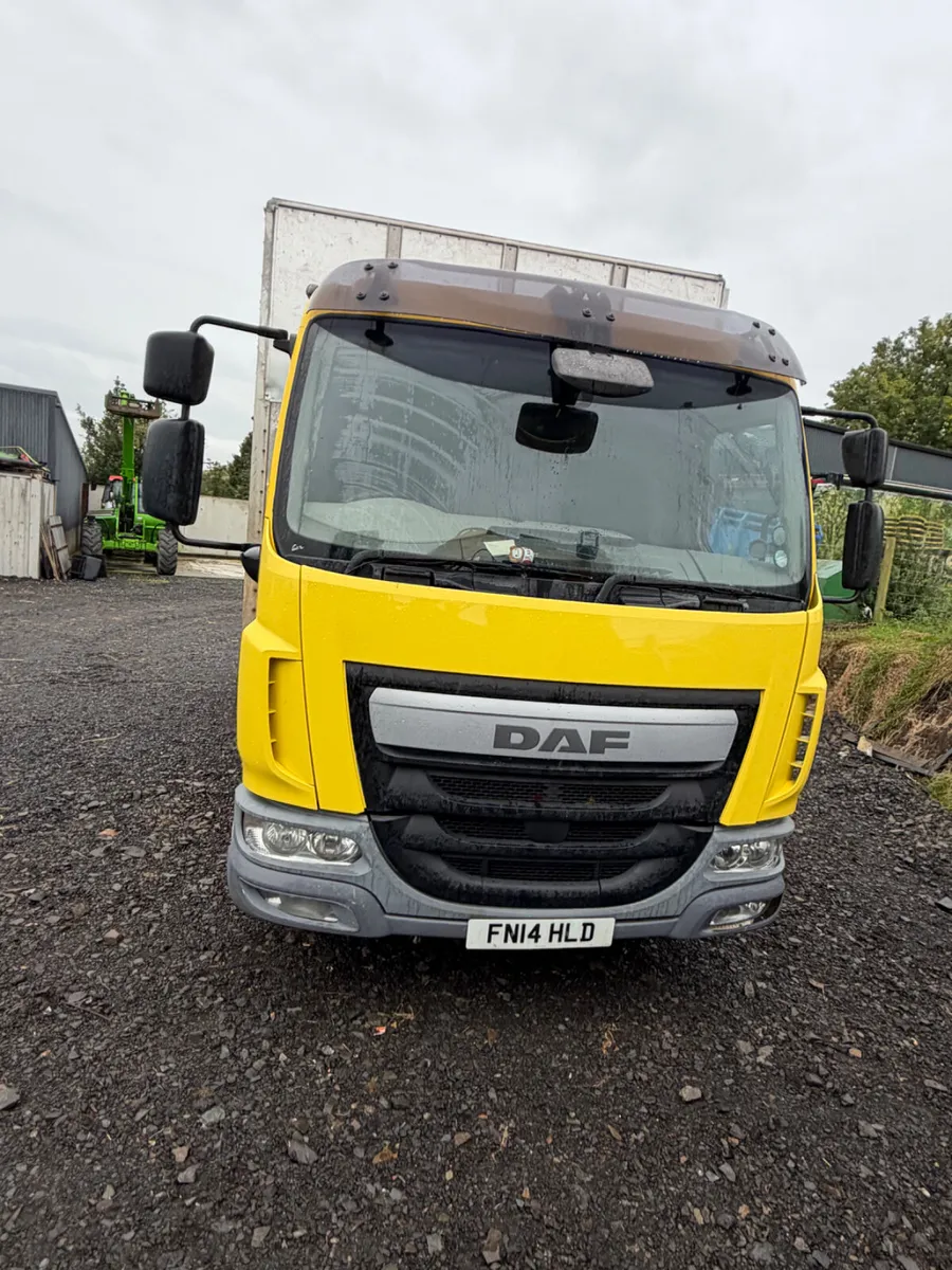 Daf cattle lorry - Image 2