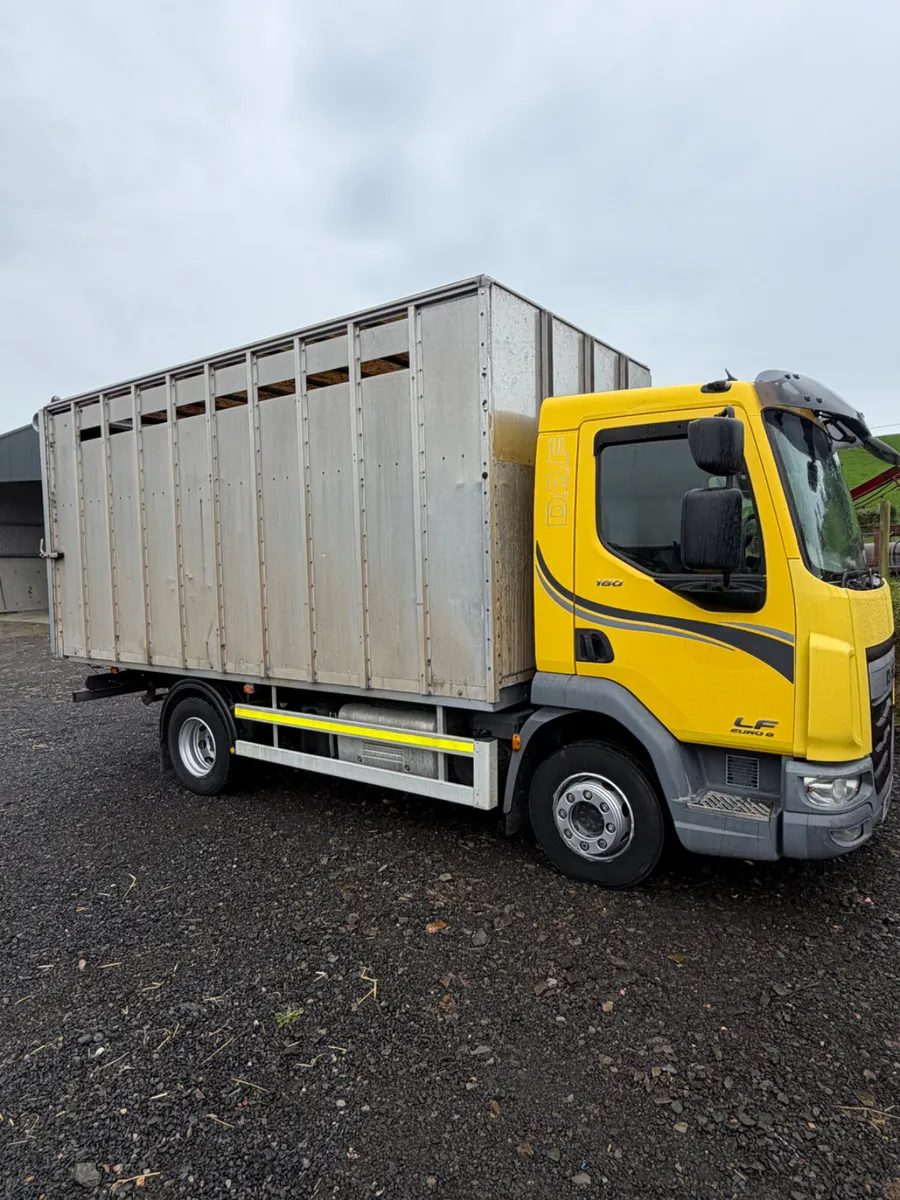 Daf cattle lorry - Image 1