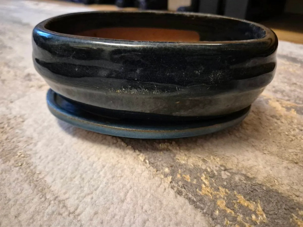 Bonsai pot - Image 1