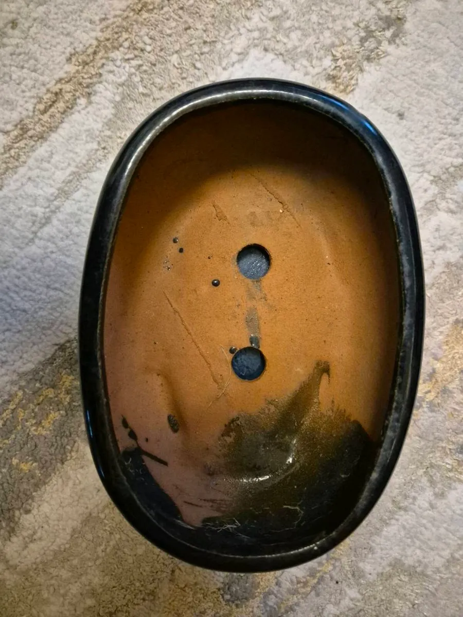 Bonsai pot - Image 2