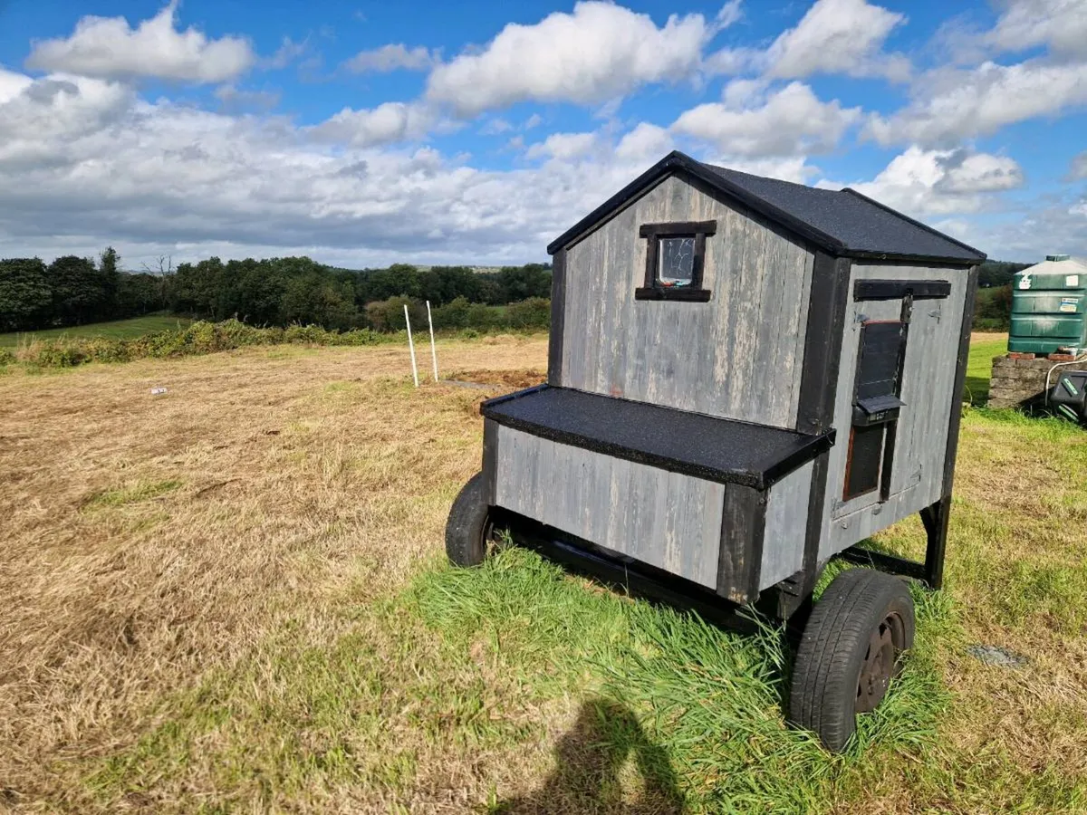 Chicken Coop - Image 2