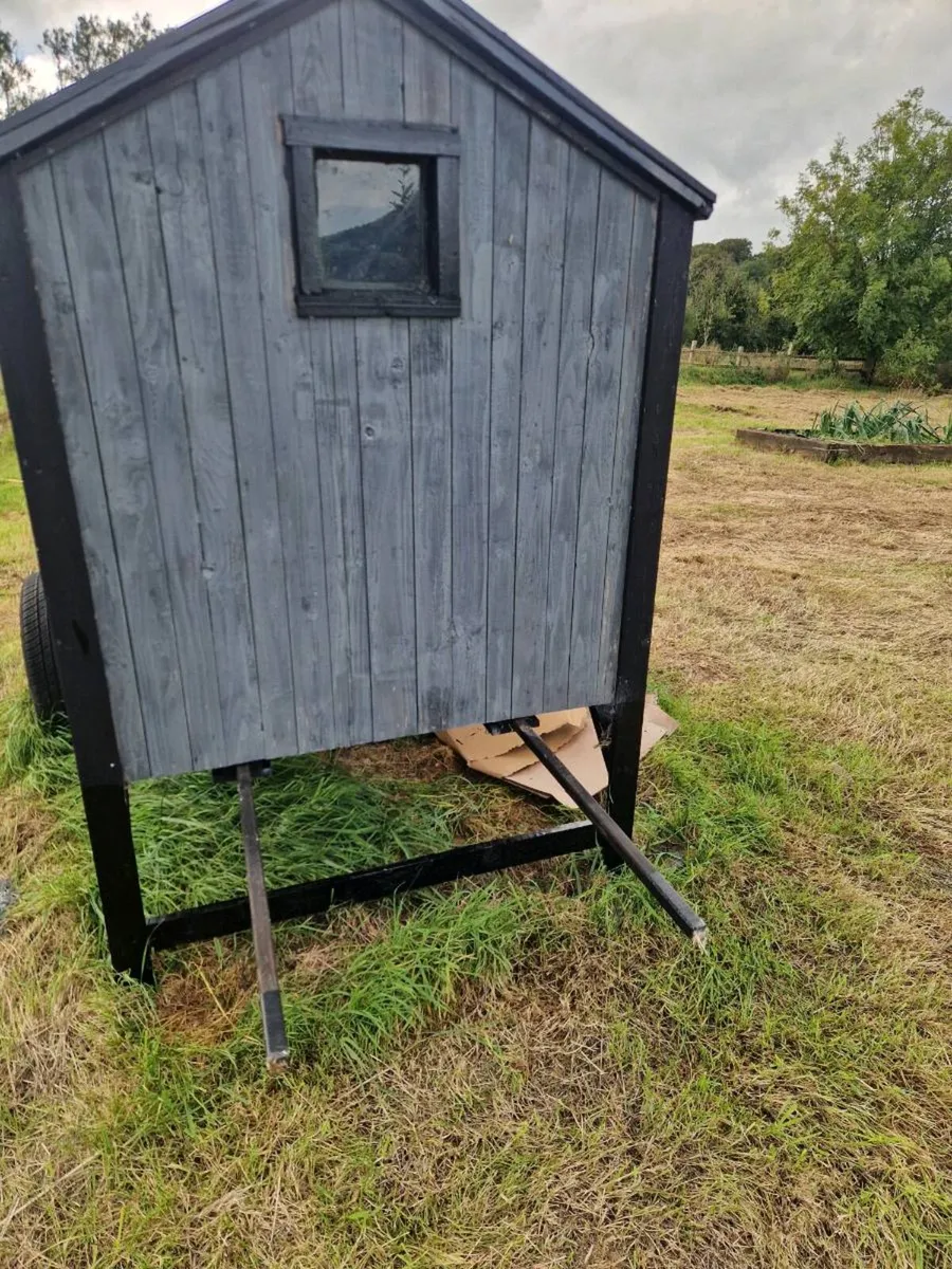 Chicken Coop - Image 4
