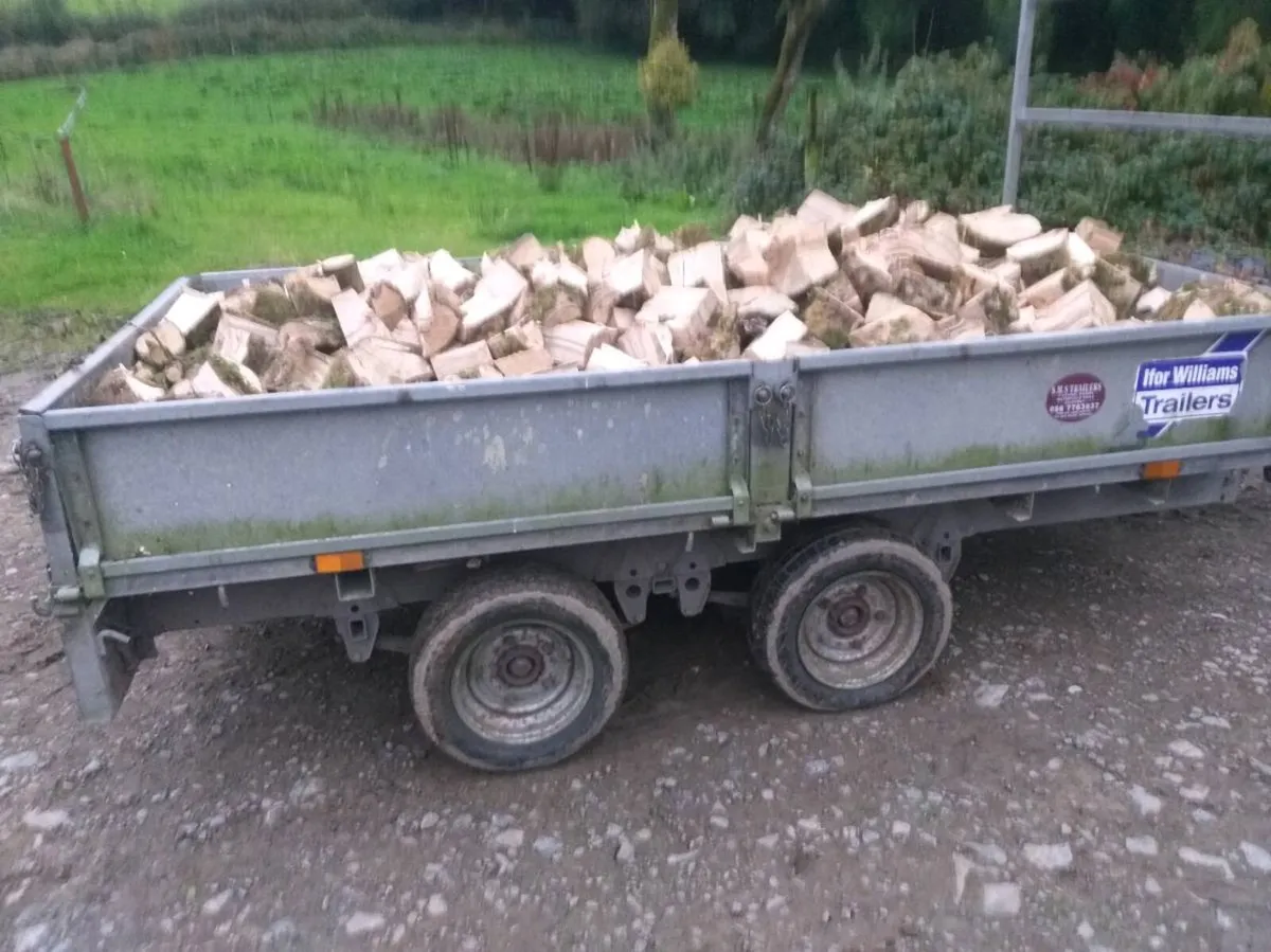 Ash Firewood