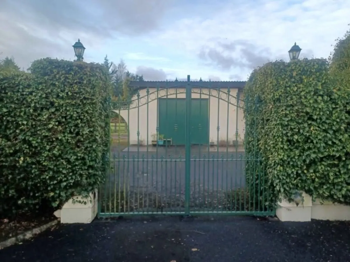 Electric Gates and motors - Image 2