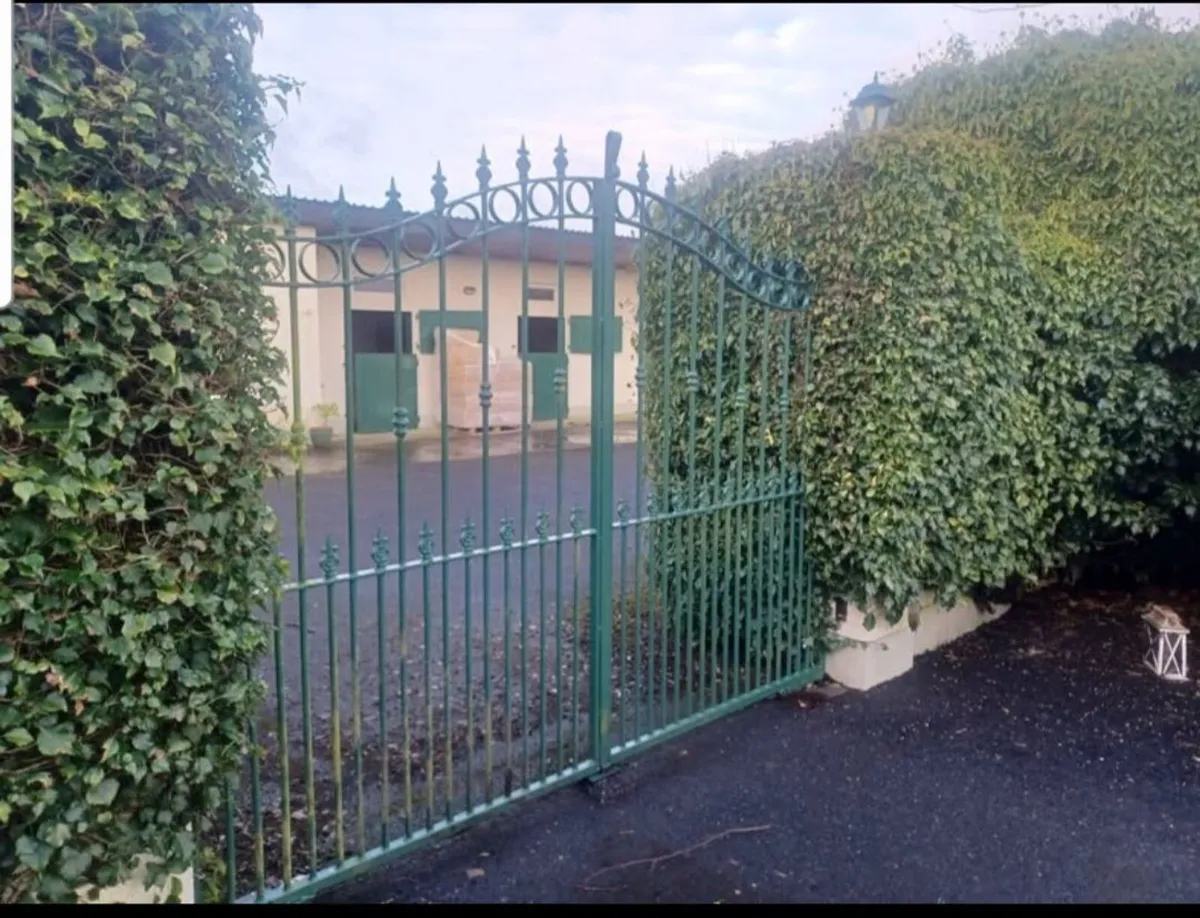 Electric Gates and motors - Image 1
