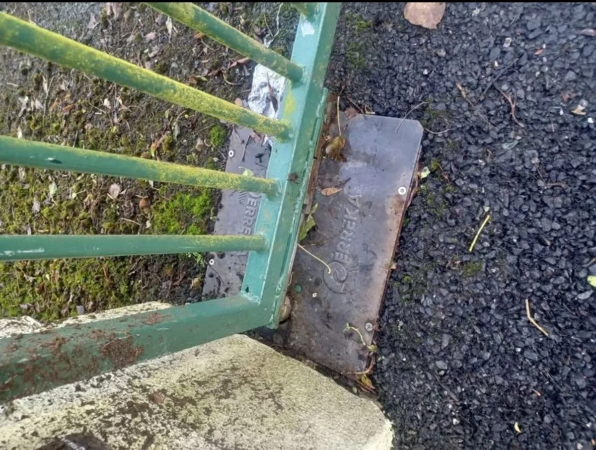 Electric Gates and motors - Image 3