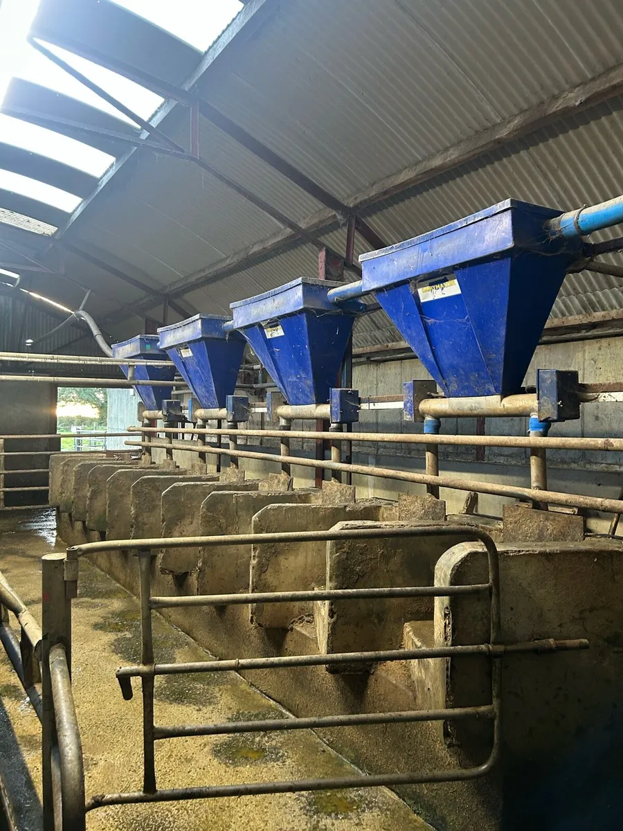 Dairy master parlour and feeders - Image 2