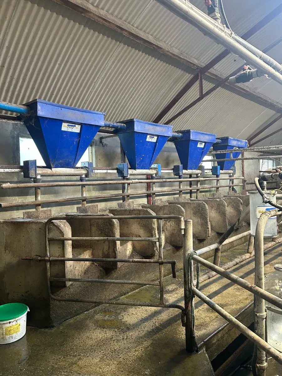 Dairy master parlour and feeders - Image 3