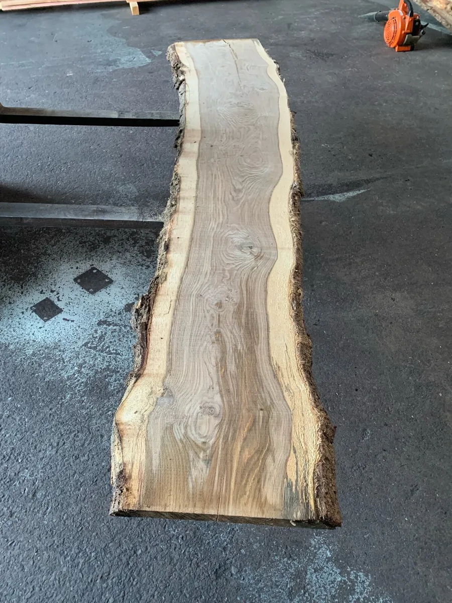 Oak Slabs - Image 3